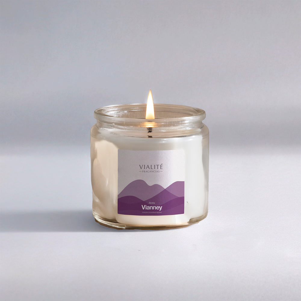 Vianney Home Velas Vianney 250 GR