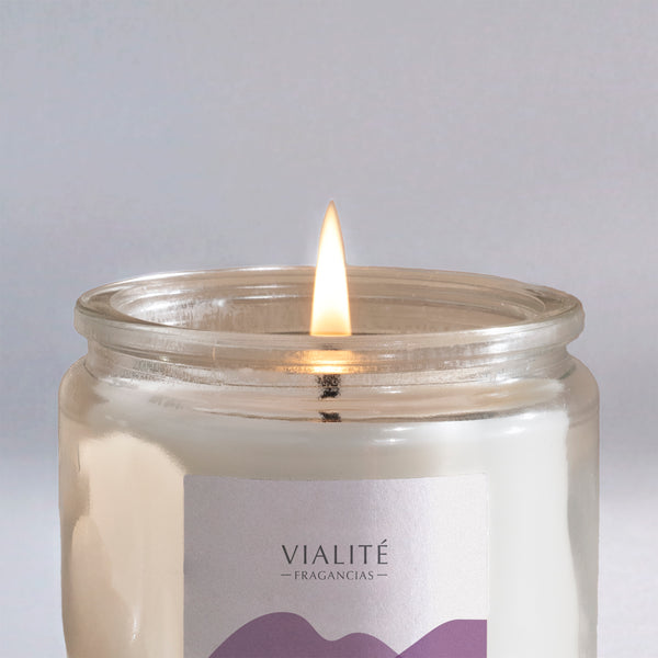 Vianney Home Velas Vianney 250 GR