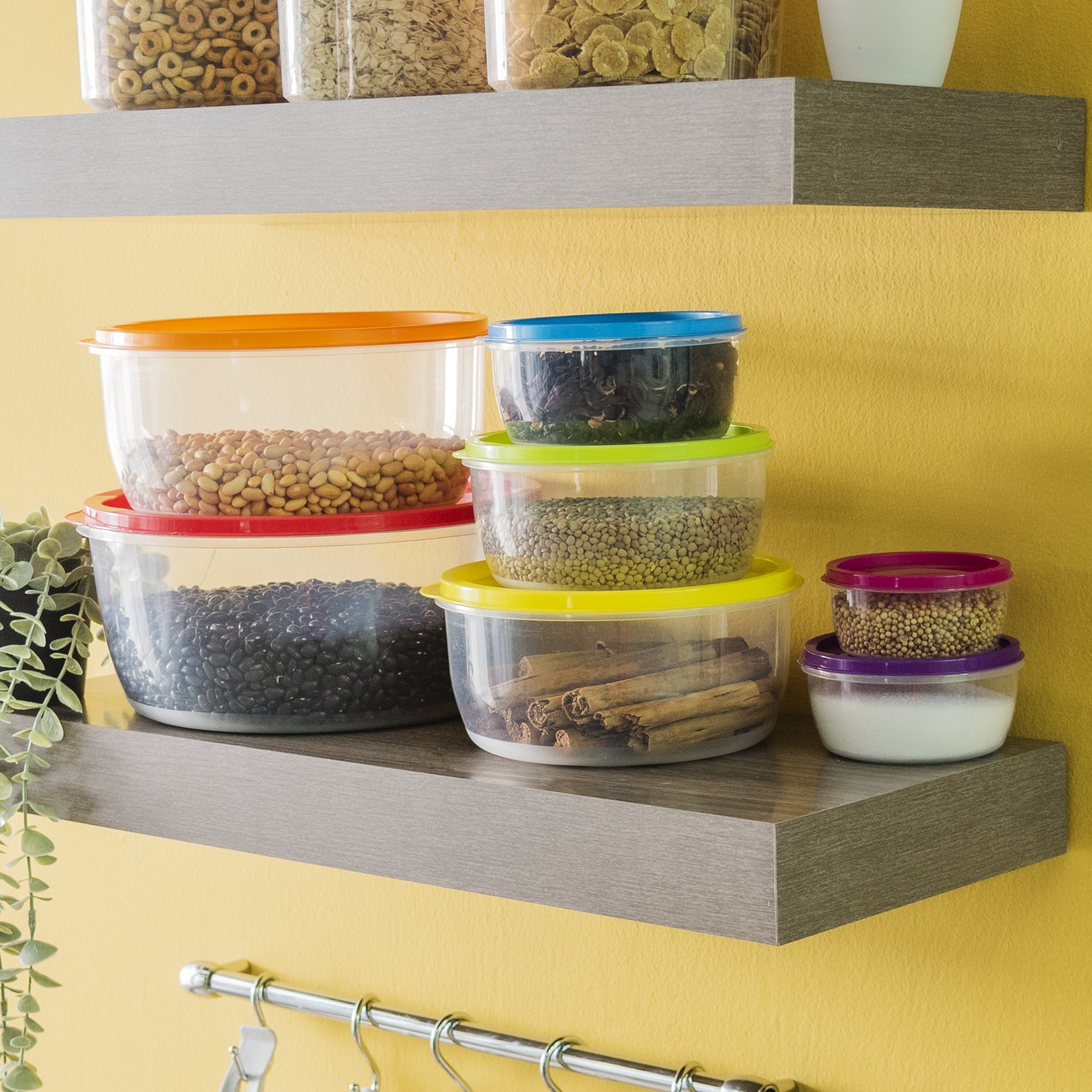 Accesorios De Cocina Set Contenedores Colores Circulares UNITALLA